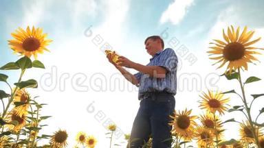 农夫老人手里拿着一个塑料瓶，向日葵油立在田野里。 慢动作视频。 葵花籽油